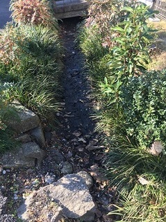 20181229_Shimizugawa_Dry_s.jpg