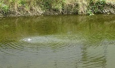 20180614_kihou1.jpg