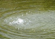 20180614_kihou2.jpg